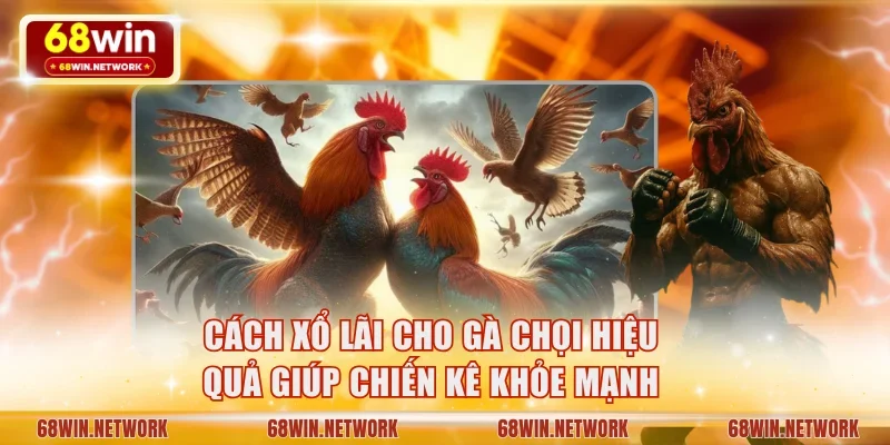 cách xổ lãi cho gà