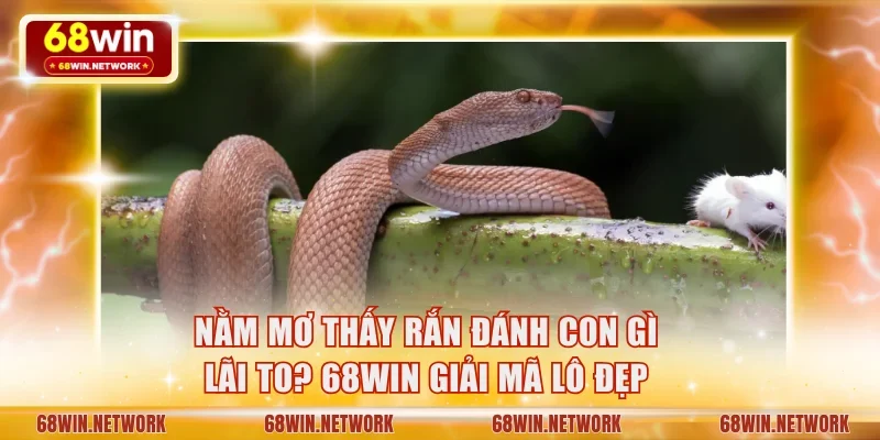 Nằm mơ thấy rắn