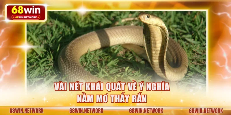 Vài nét khái quát về ý nghĩa nằm mơ thấy rắn